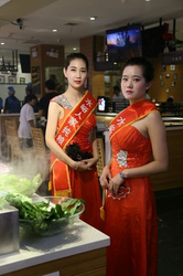 日韩高清一区二区内容展示